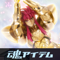 【魂ネイション2019開催記念商品】聖闘士聖衣神話EX アクエリアスカミュOCEレビュー