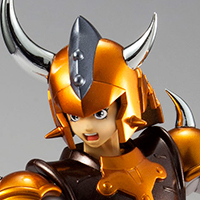 アーマープラス 金剛のシュウ